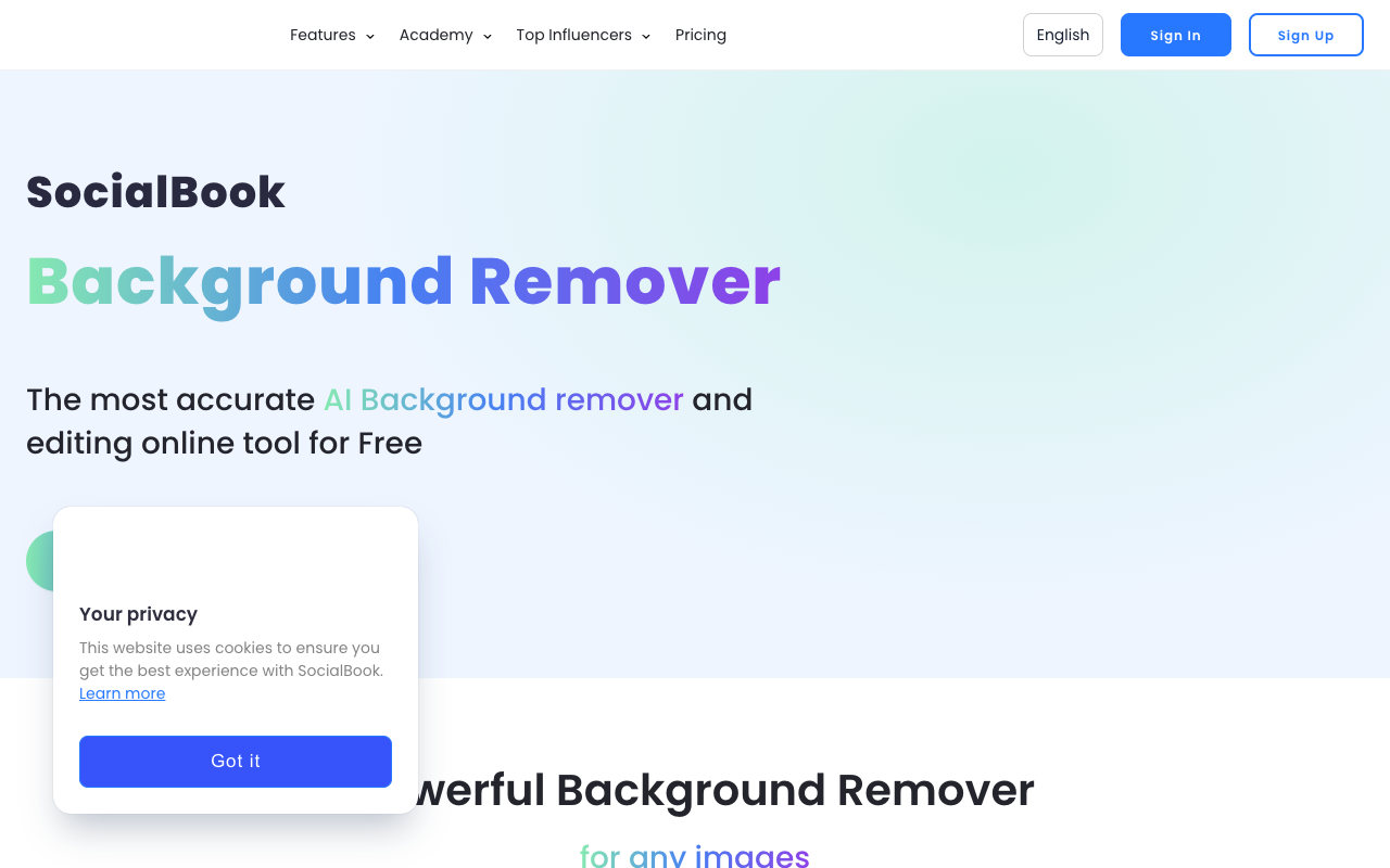 SocialBook AI 背景去除编辑器 - 最精准的 AI 背景去除与编辑工具