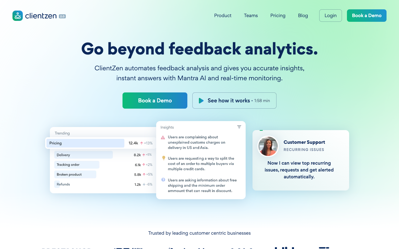 ClientZen - Transform feedback into action, instantly with AI