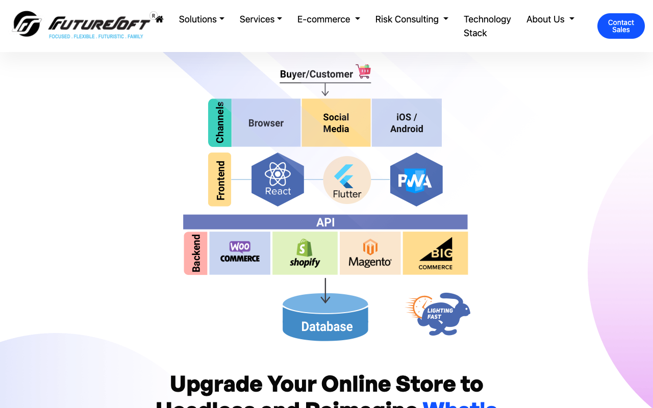 Headless eCommerce - Online Business with Headless eCommerce and Headless Magento
