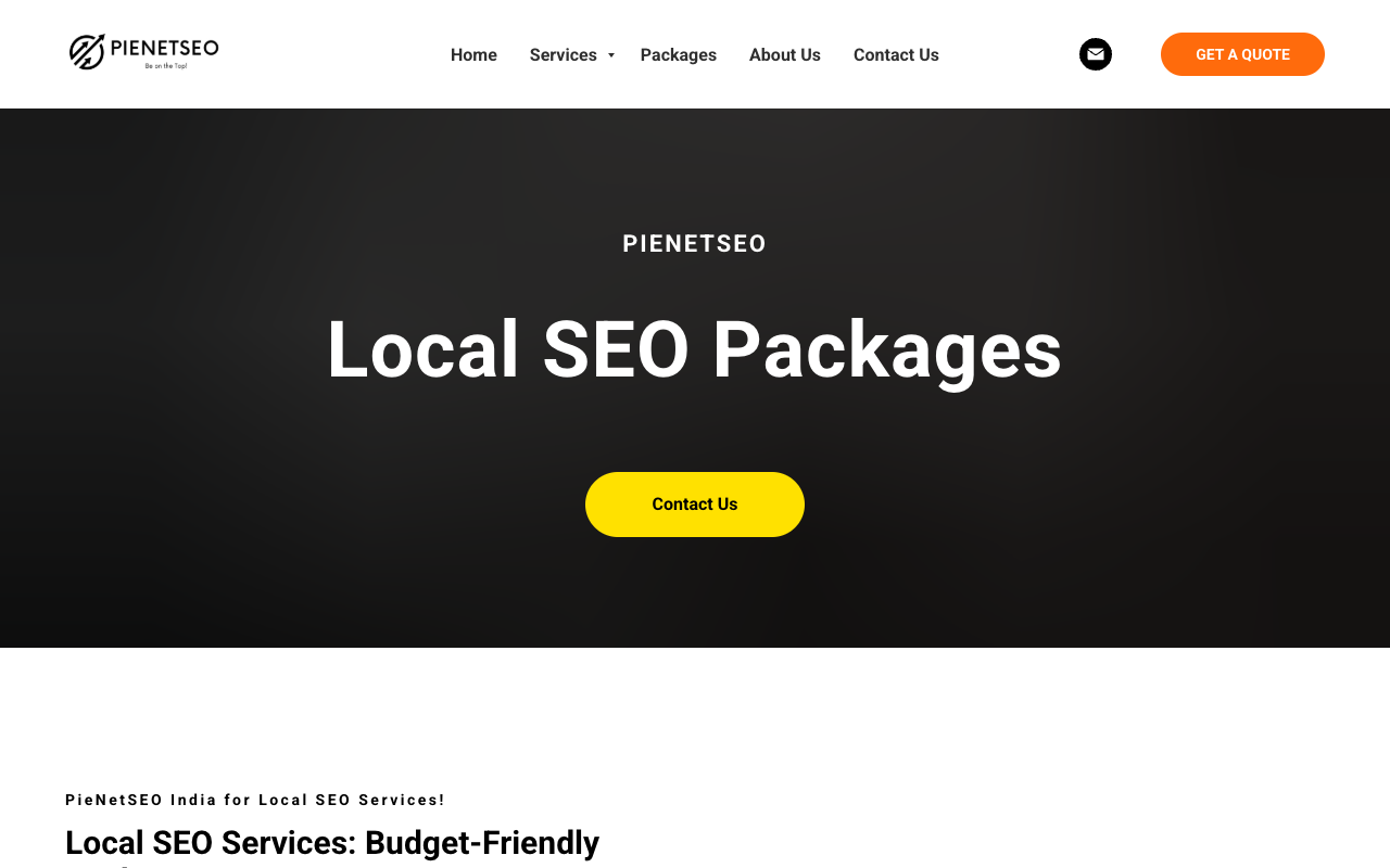 PieNetSEO - Cost-Effective Local SEO Solutions in India SEO Marketing