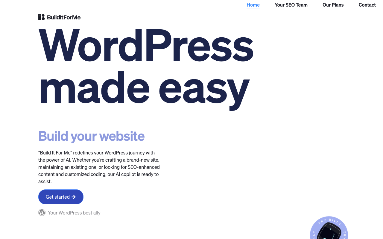 Billy - Your AI WordPress Copilot for Building, Writing, and Coding