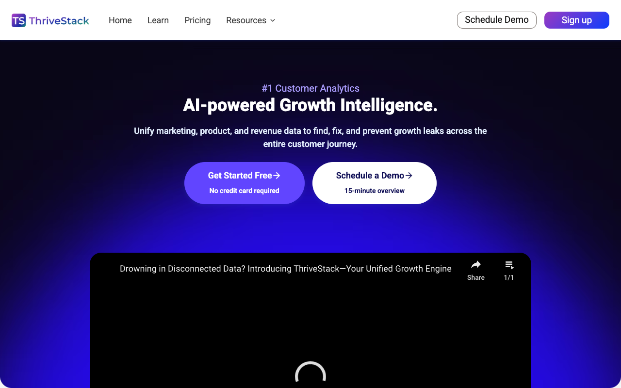 Thrivestack - An AI tool that helps you understand your customers better
