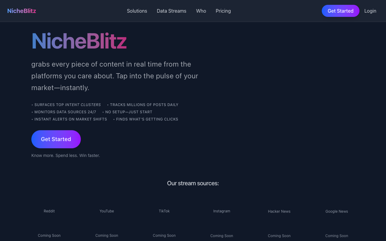 NicheBlitz - Discover hidden trends with AI