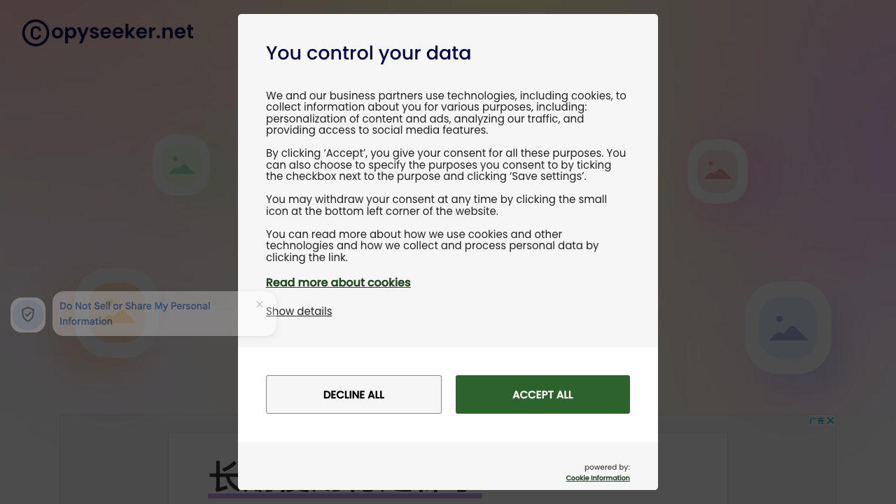 CopySeeker - The AI tool to find your lost images