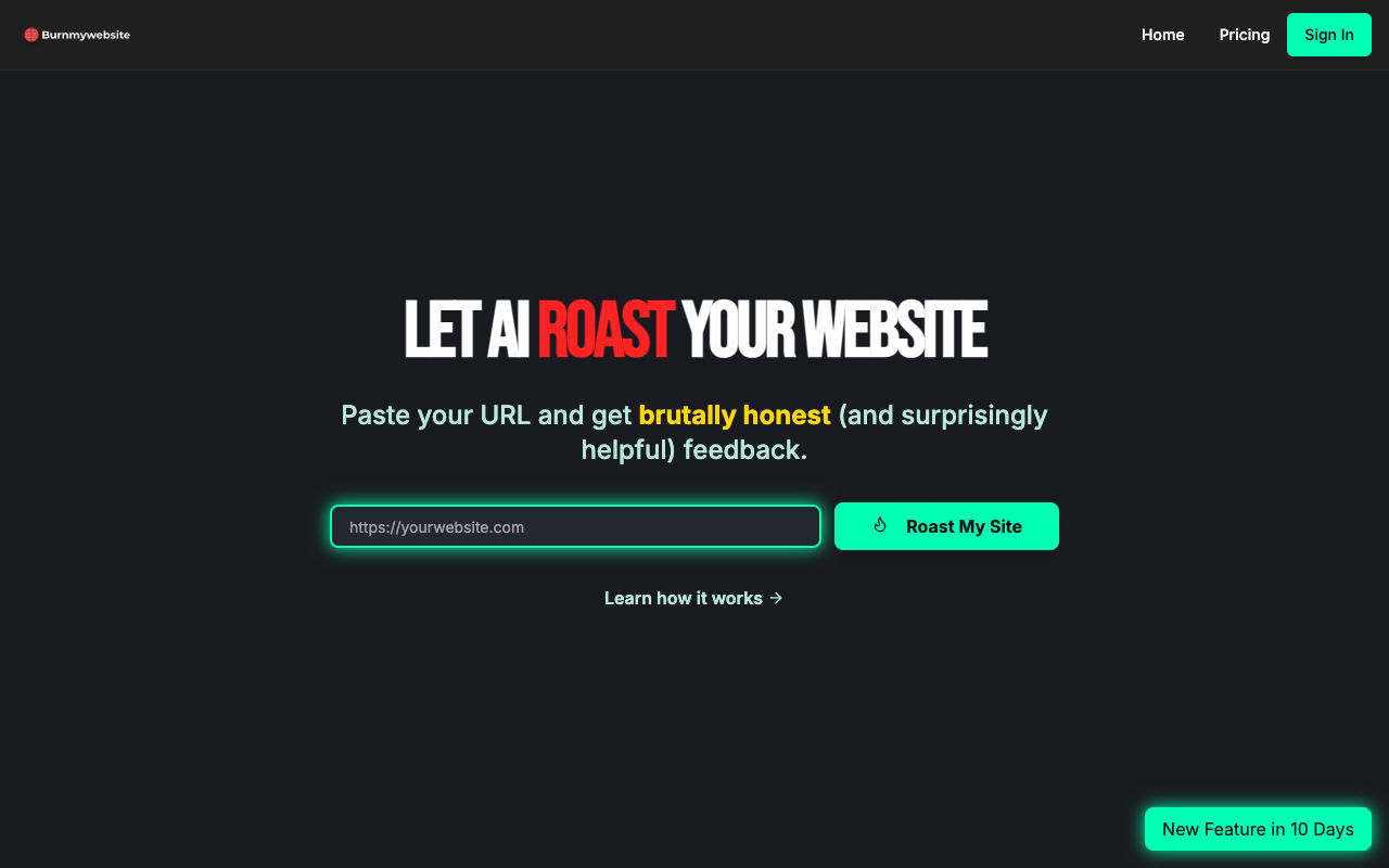 Burnmywebsite - An AI that provides savage feedback to improve your website AI website-feedback design