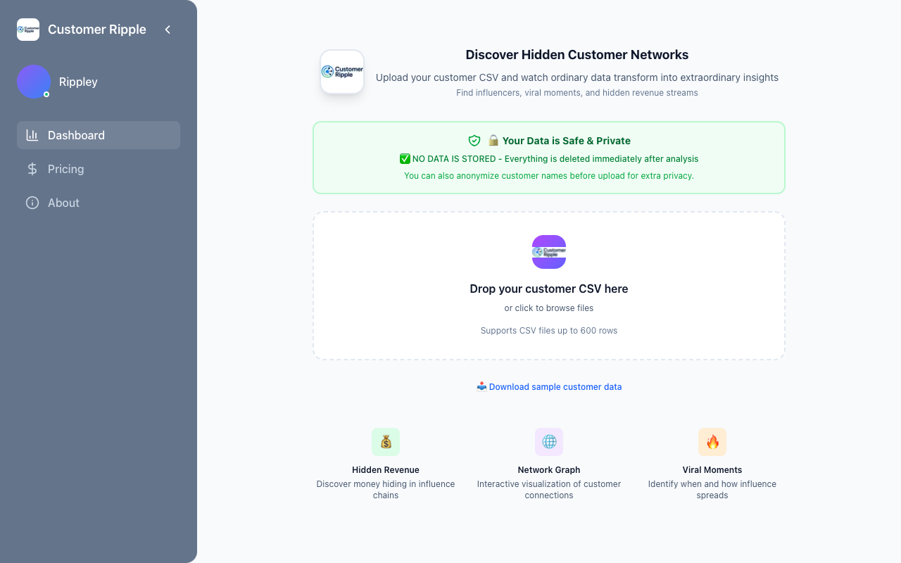 Customer Ripple - Upload customer data, reveal influence networks instantly