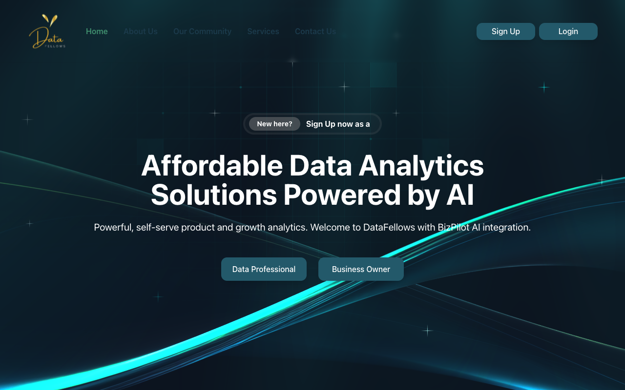 Data Fellows - Affordable Data Analytics Solutions Powered by AI